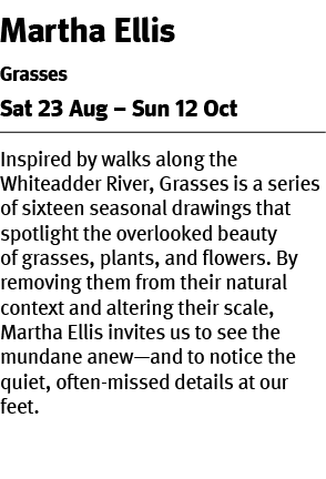 Martha Ellis Grasses Sat 23 Aug – Sun 12 Oct Inspired by walks along the Whiteadder River, Grasses is a series of six...