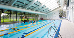 A group of people swimming in a pool. AI generated content