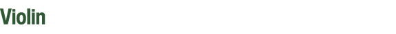 Violin