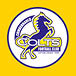A blue and yellow logo for the Cumberland Colts football club. AI generated content