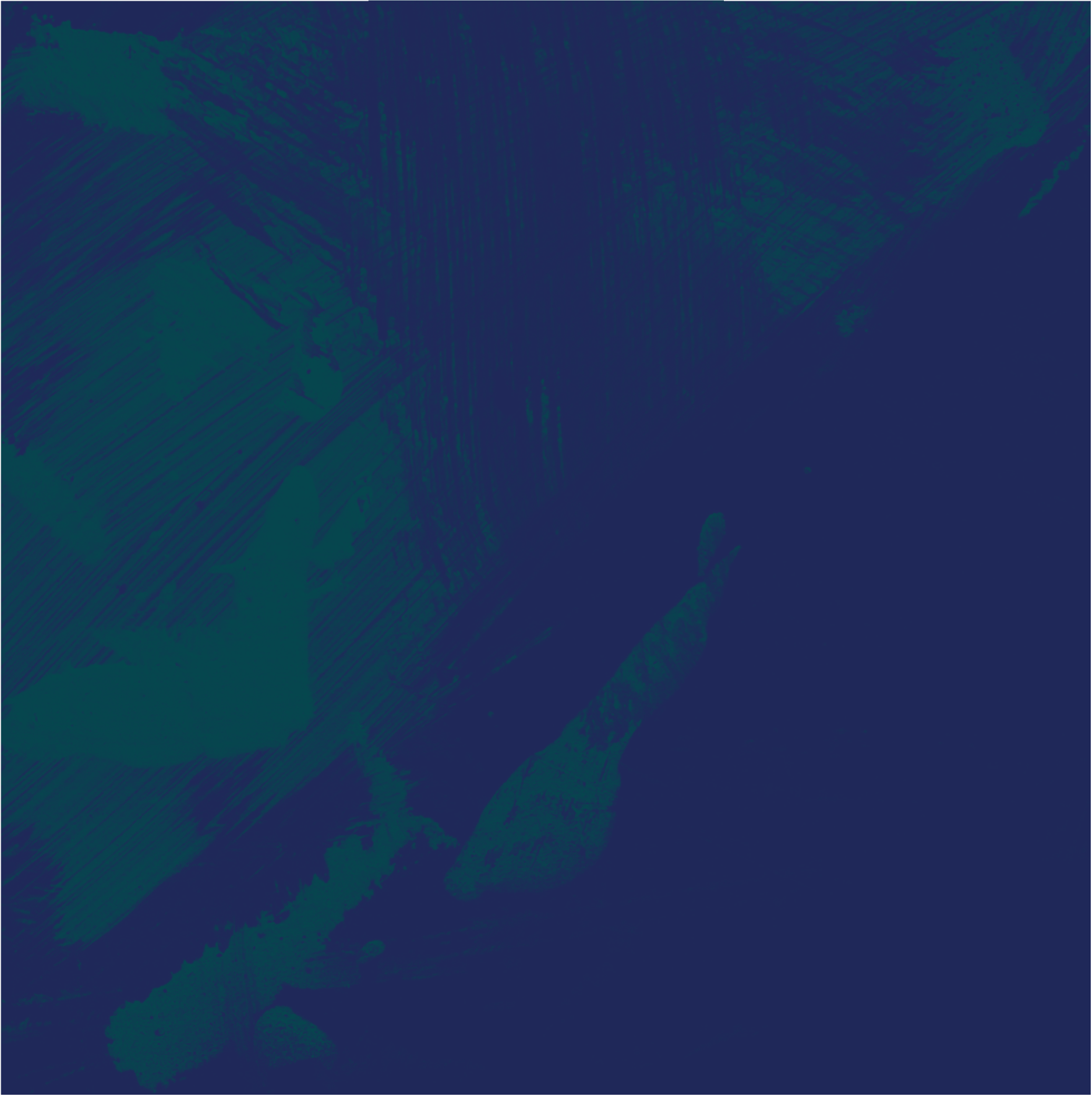 Black and white brush