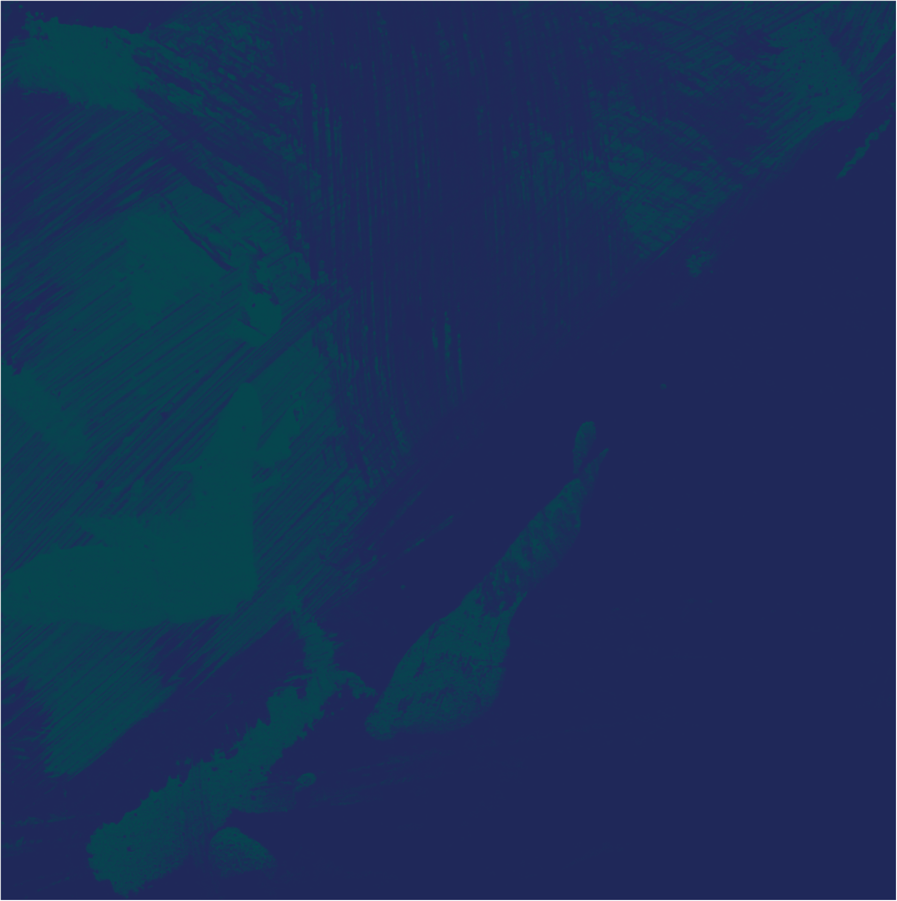 Black and white brush